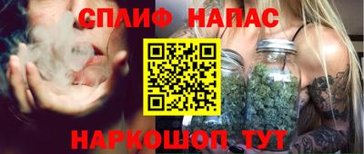 mdpv Бердск