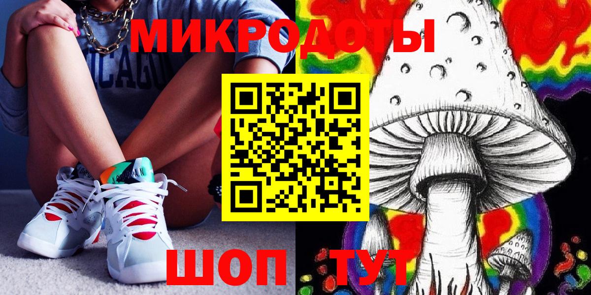 Псилоцибиновые грибы Cubensis Вышний Волочёк