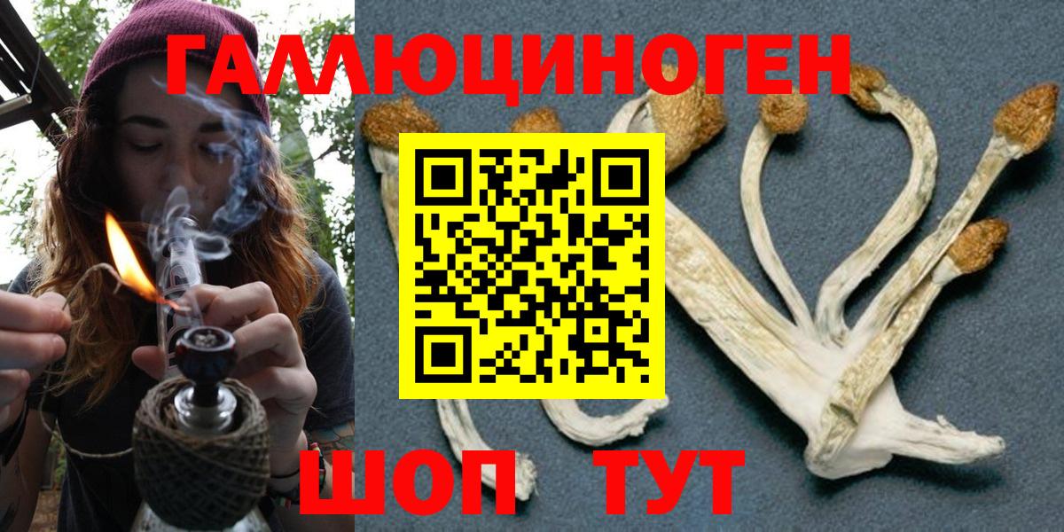 Вышний Волочёк  дарнет шоп  Вход с VPN  Галлюциногенные грибы GOLDEN TEACHER 
